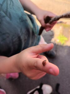 Universul spiridusilor gradinita (6)