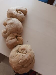 Universul spiridusilor gradinita (7)