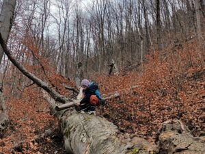 Universul spiridusilor gradinita (8)